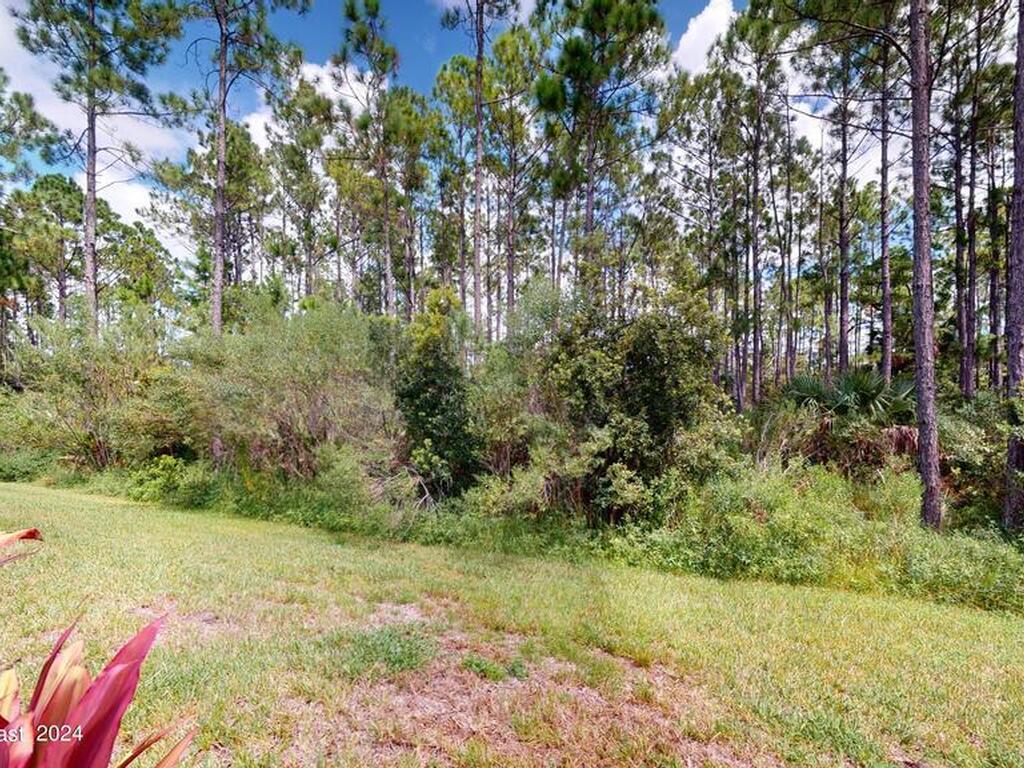 362 Tiki Ter, Daytona Beach, FL 32124