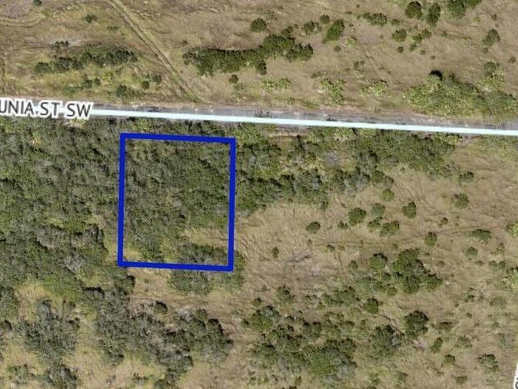 1520 Petunia Street, Palm Bay, FL 32908