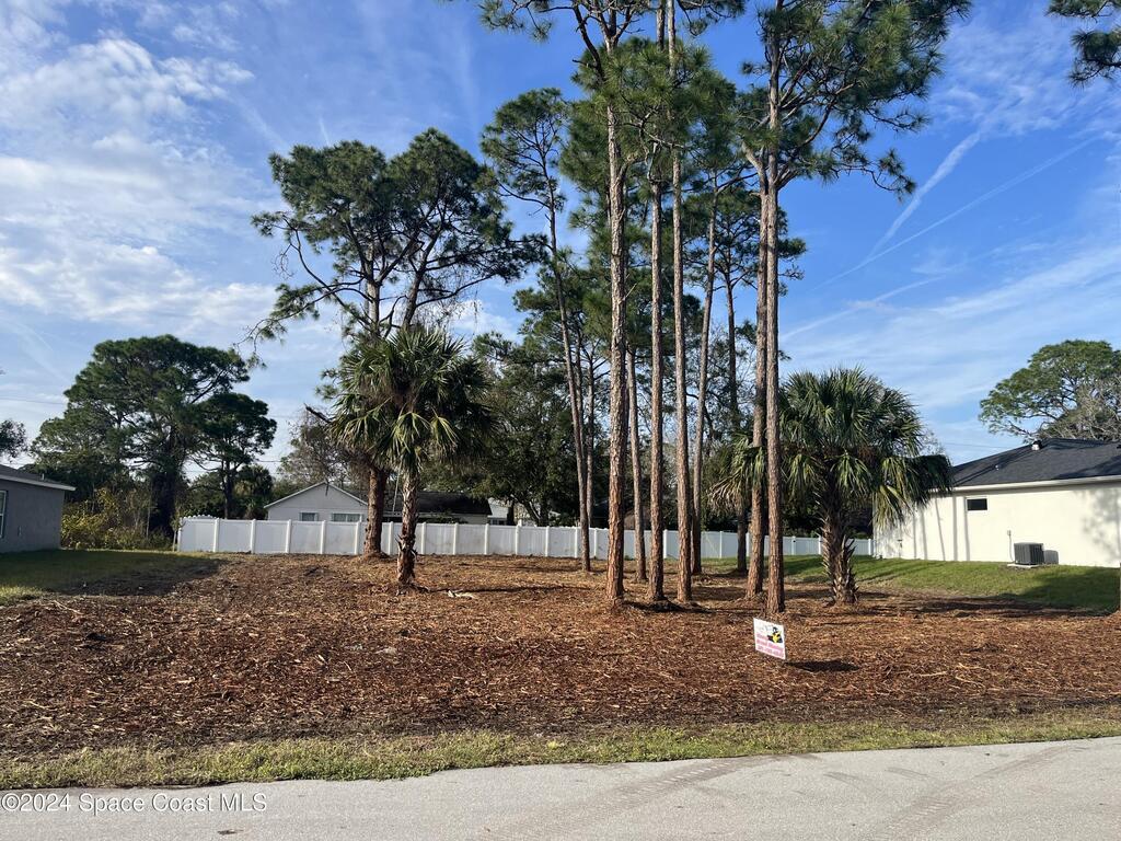 1141 Tiger Street, Palm Bay, FL 32909