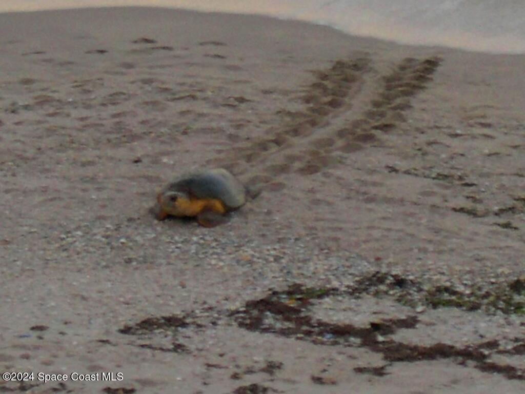 2095 Highway A1a Highway, Indian Harbour Beach, FL 32937