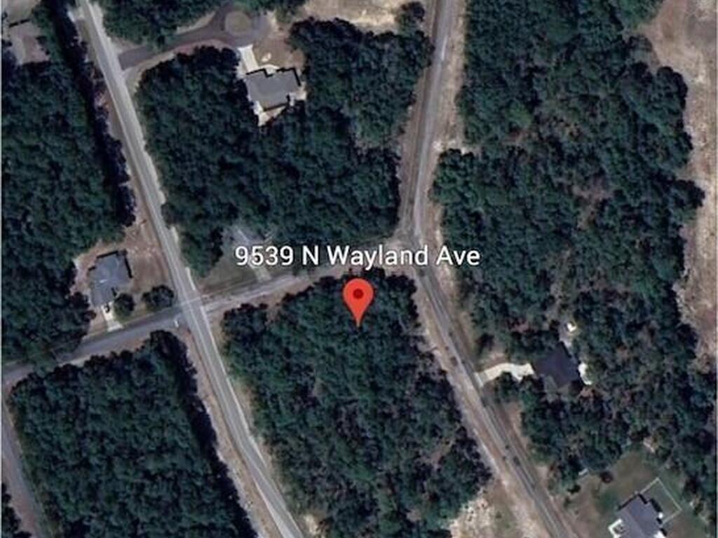9539 N Wayland Avenue, Citrus Springs, FL 34434