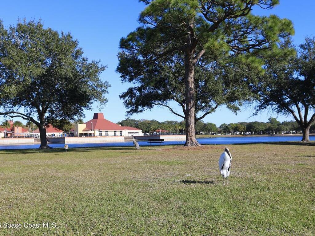 816 Vireo Drive, Barefoot Bay, FL 32976