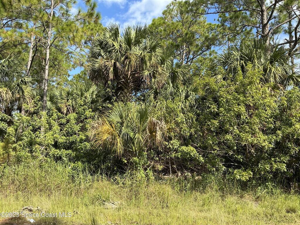 Tbd Lot 9 Frederick Street, Palm Bay, FL 32908