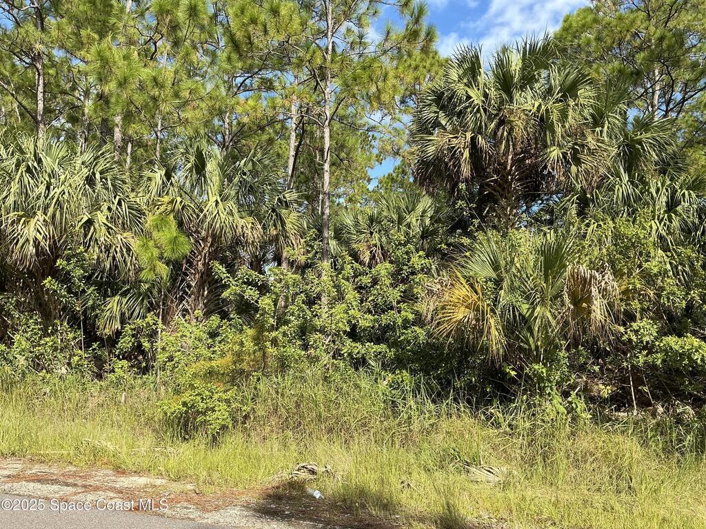 Tbd Lot 9 Frederick Street, Palm Bay, FL 32908