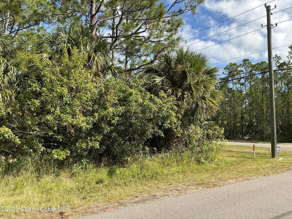 Tbd Lot 9 Frederick Street, Palm Bay, FL 32908
