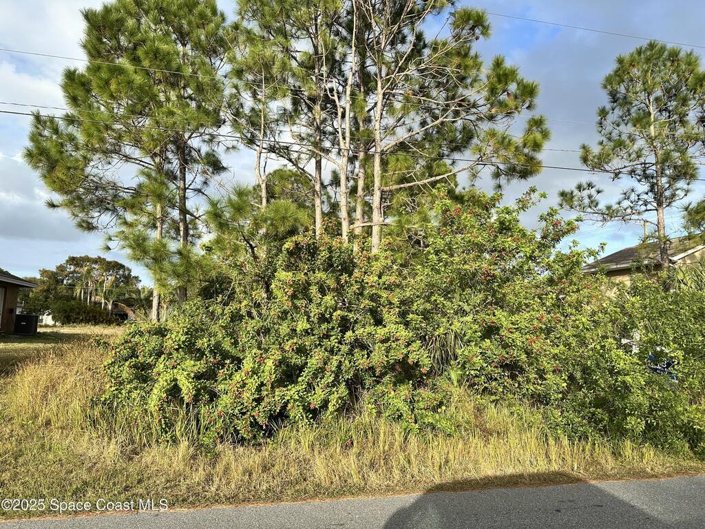 1485 Tidewell Street, Palm Bay, FL 32909