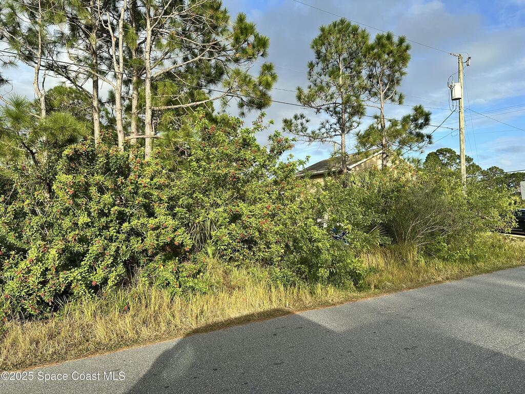 1485 Tidewell Street, Palm Bay, FL 32909