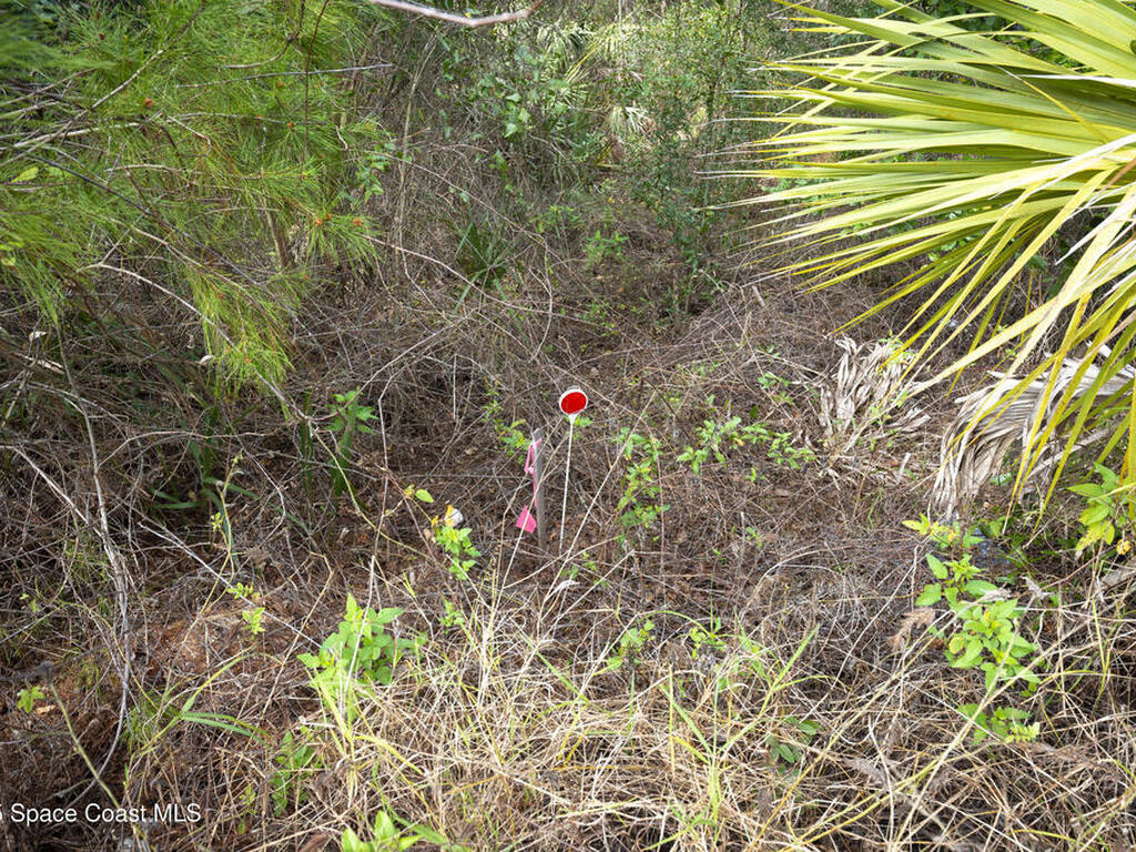 Barna Avenue, Titusville, FL 32780