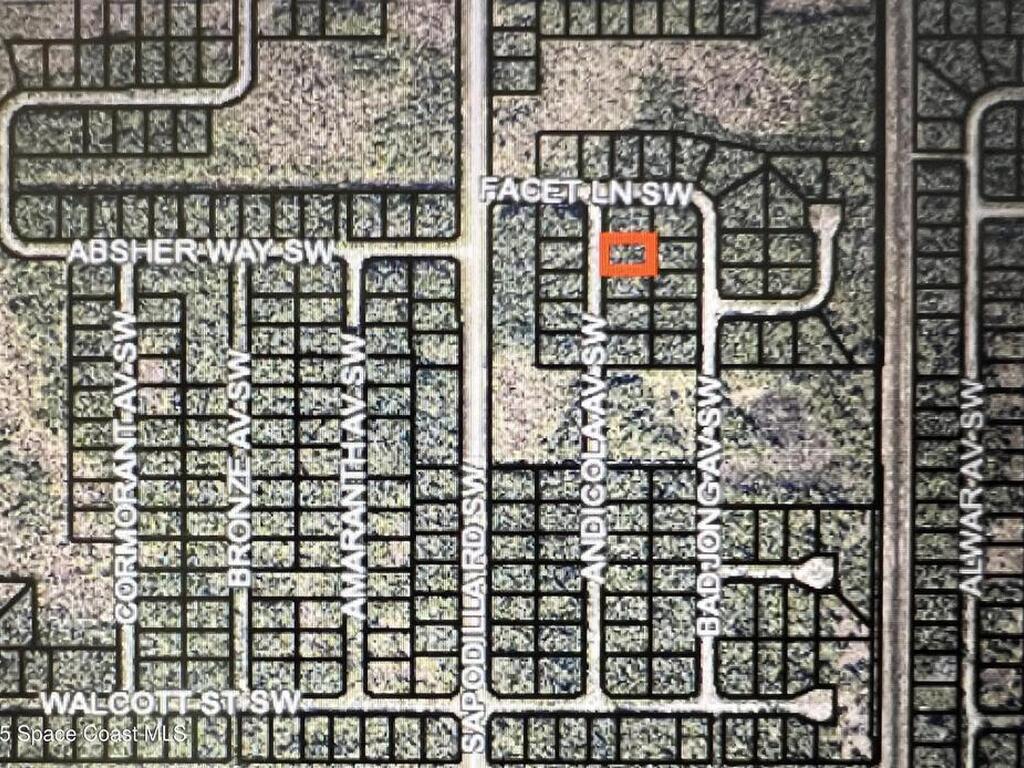 1911 Andicola Avenue, Palm Bay, FL 32908