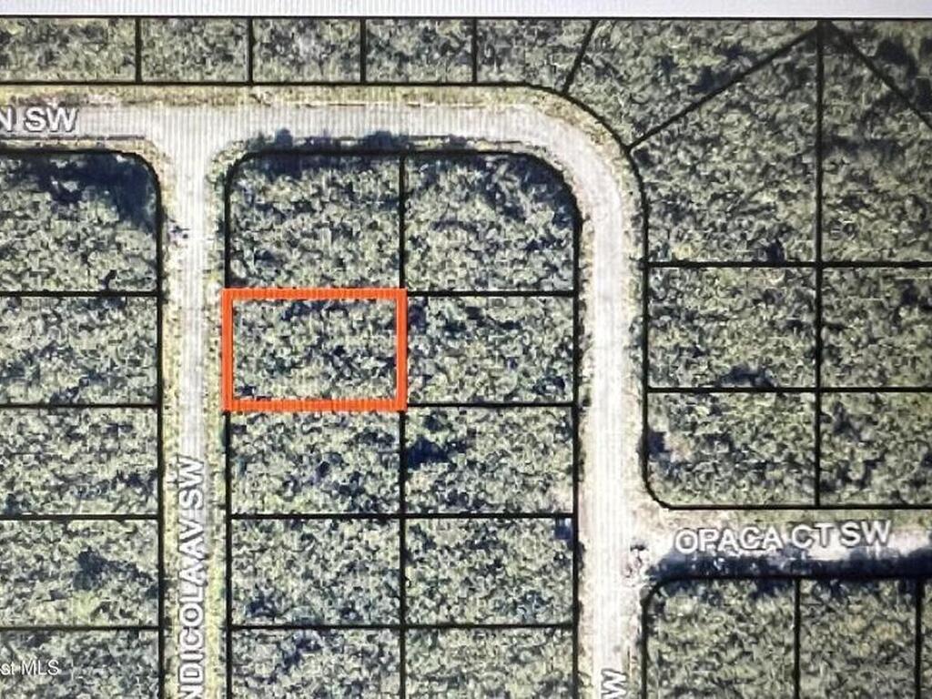 1911 Andicola Avenue, Palm Bay, FL 32908
