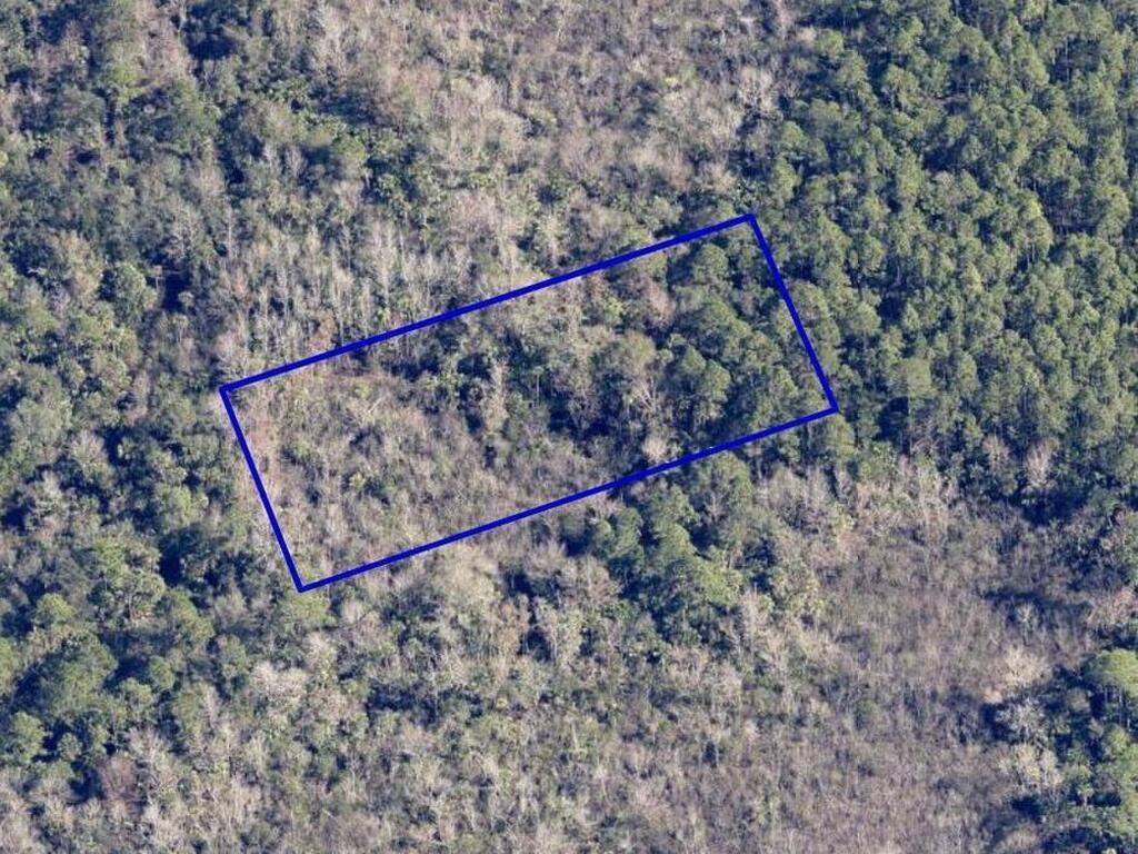 000 Lloyd Street, Mims, FL 32754