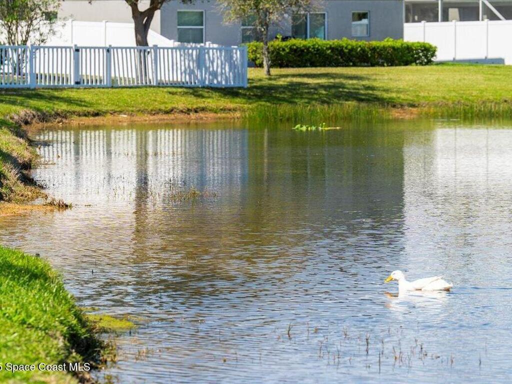 3393 Dione Street, West Melbourne, FL 32904