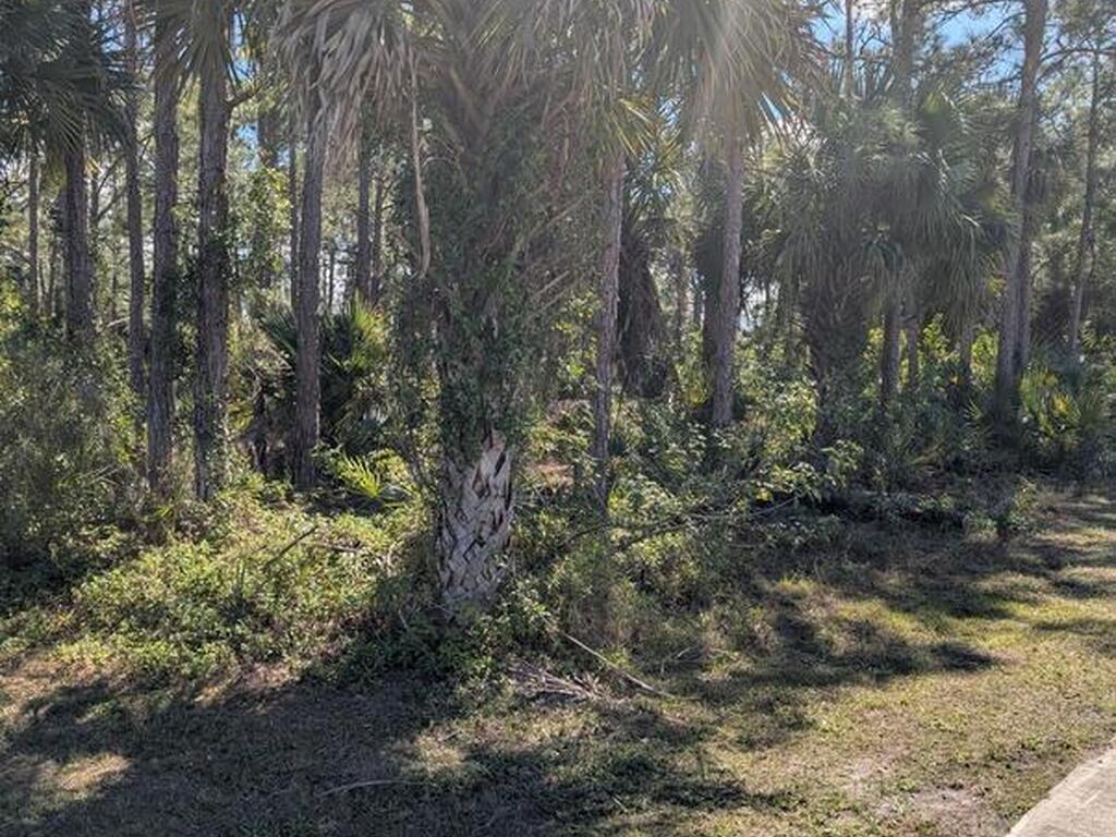 196 Unknown Street, Palm Bay, FL 32908