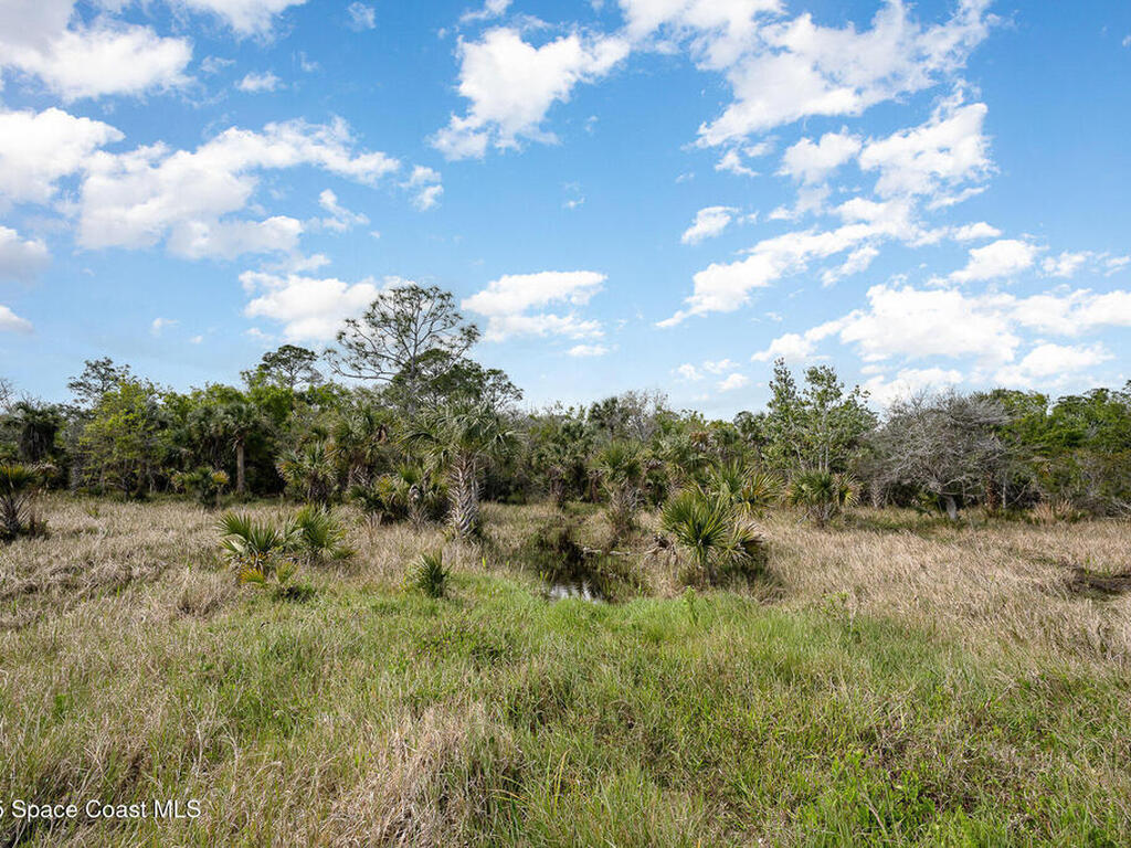 5570 Sanctuary Avenue, Grant, FL 32949