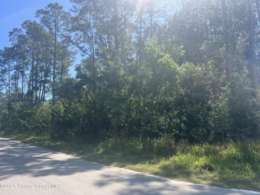 Tbd Corner Lackland St & Gaynor Dr, Palm Bay, FL 32908