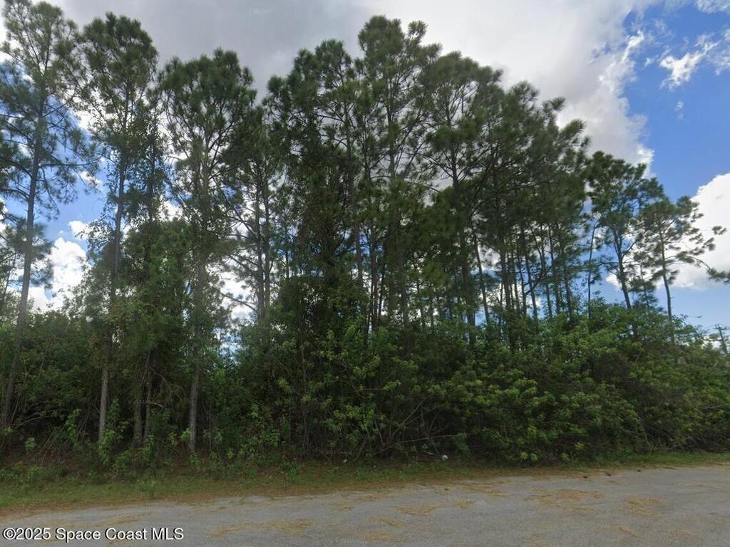 1206 Larkspur Street, Palm Bay, FL 32909