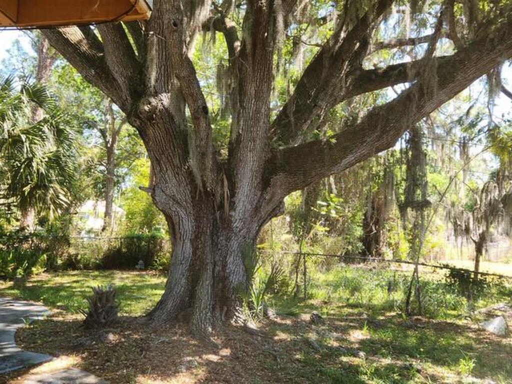 606 S Varr Avenue, Cocoa, FL 32922