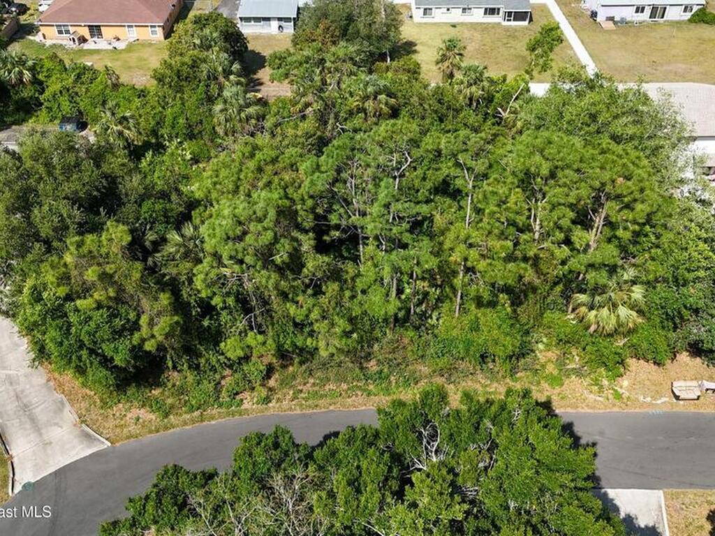 Tree Ridge Lane, Palm Bay, FL 32905