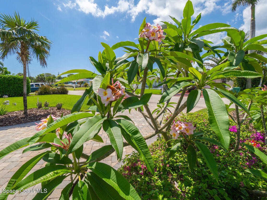 190 Harwood Avenue, Satellite Beach, FL 32937