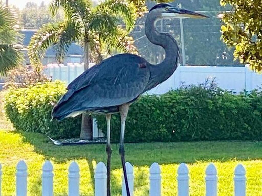 2945 70th Place, Vero Beach, FL 32967