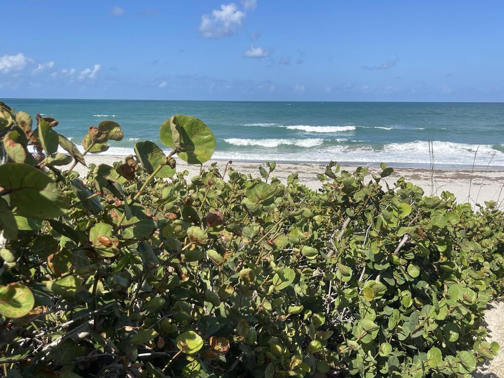 123 River Oaks Road, Melbourne Beach, FL 32951