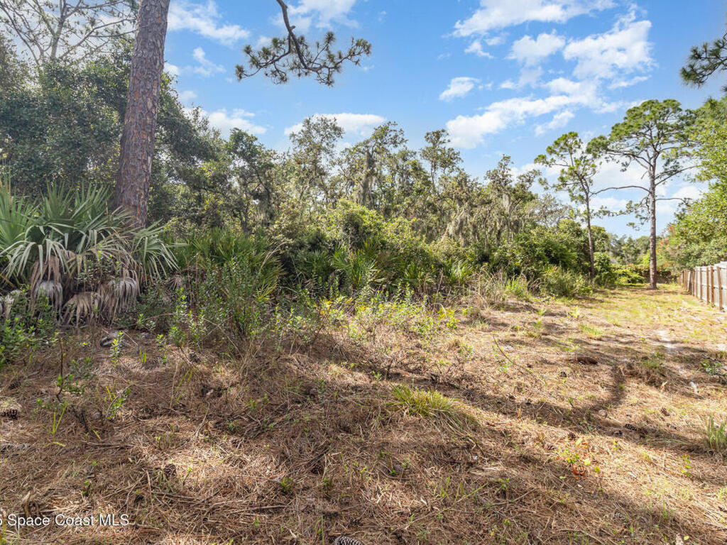 3735 Crista Jean Avenue, Grant-Valkaria, FL 32909