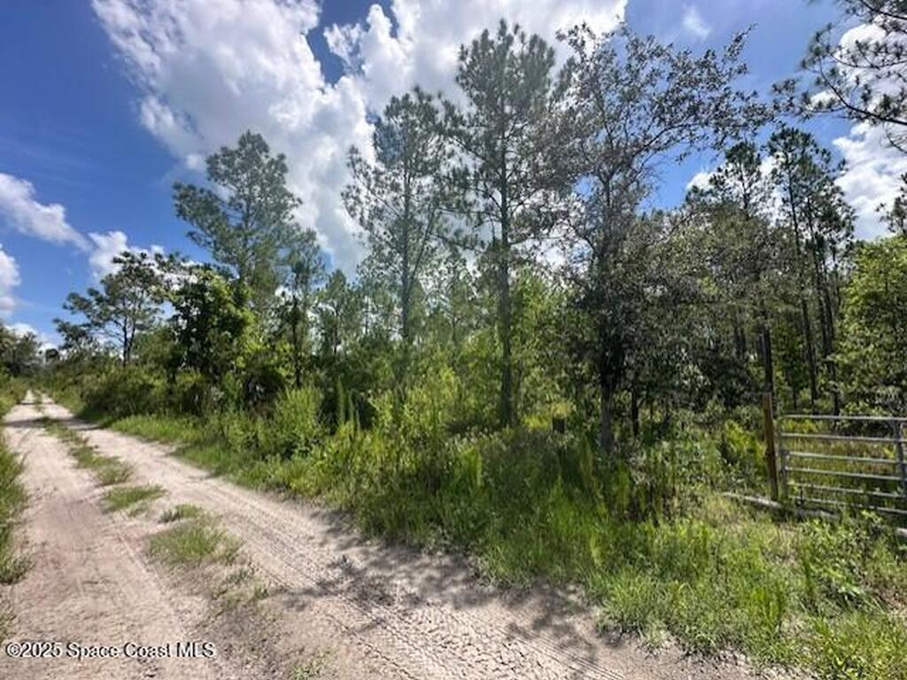 00000 Unknown, Mims, FL 32754