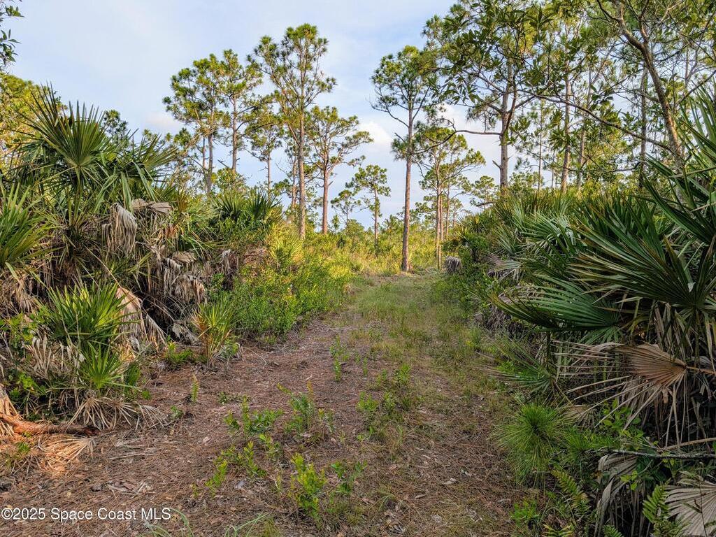 00 Unknown, Grant, FL 32949