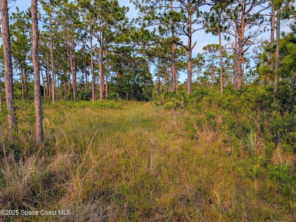 00 Unknown, Grant, FL 32949