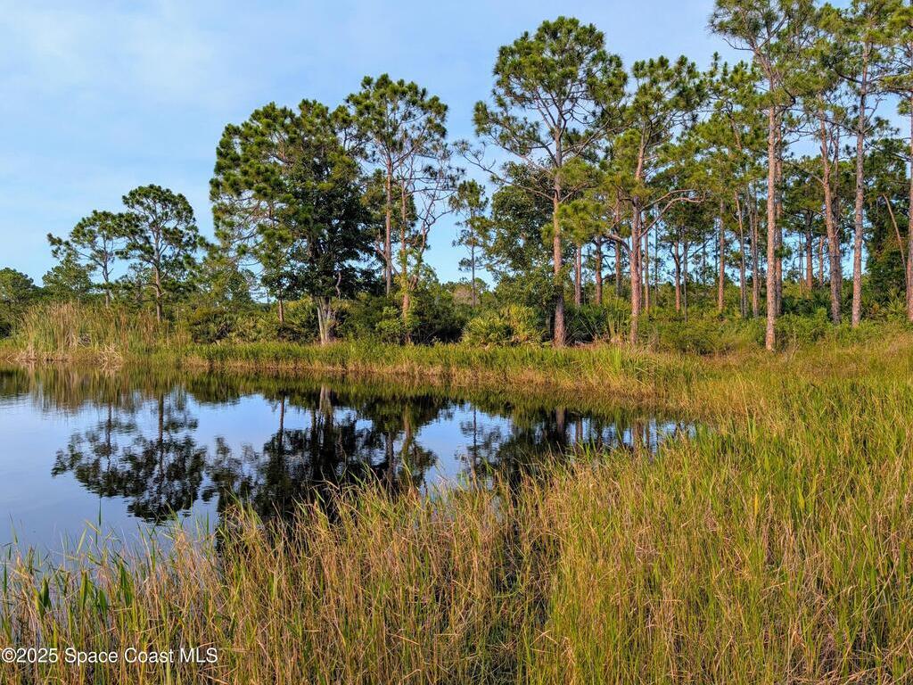 00 Unknown, Grant, FL 32949