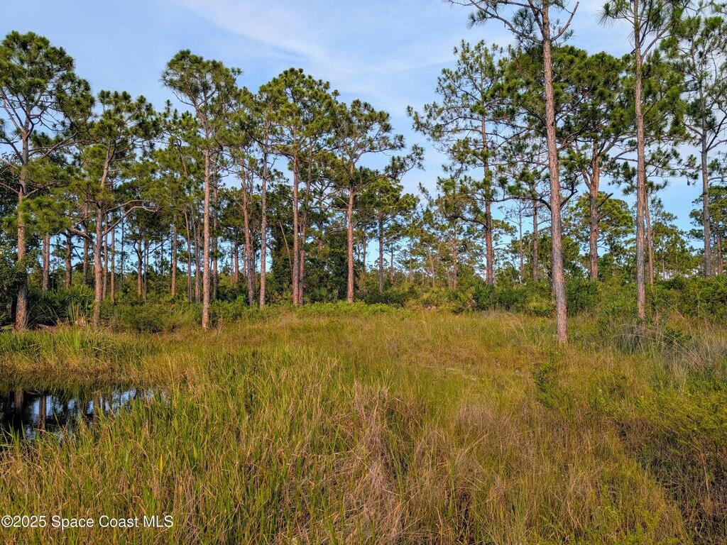 00 Unknown, Grant, FL 32949