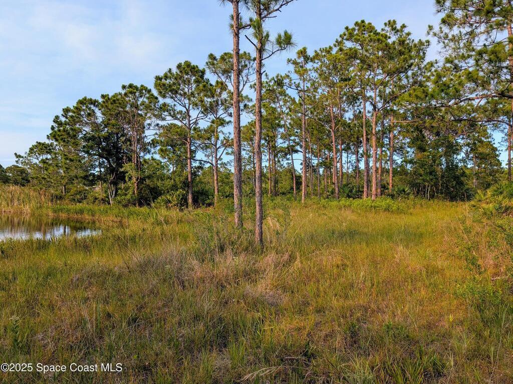 00 Unknown, Grant, FL 32949