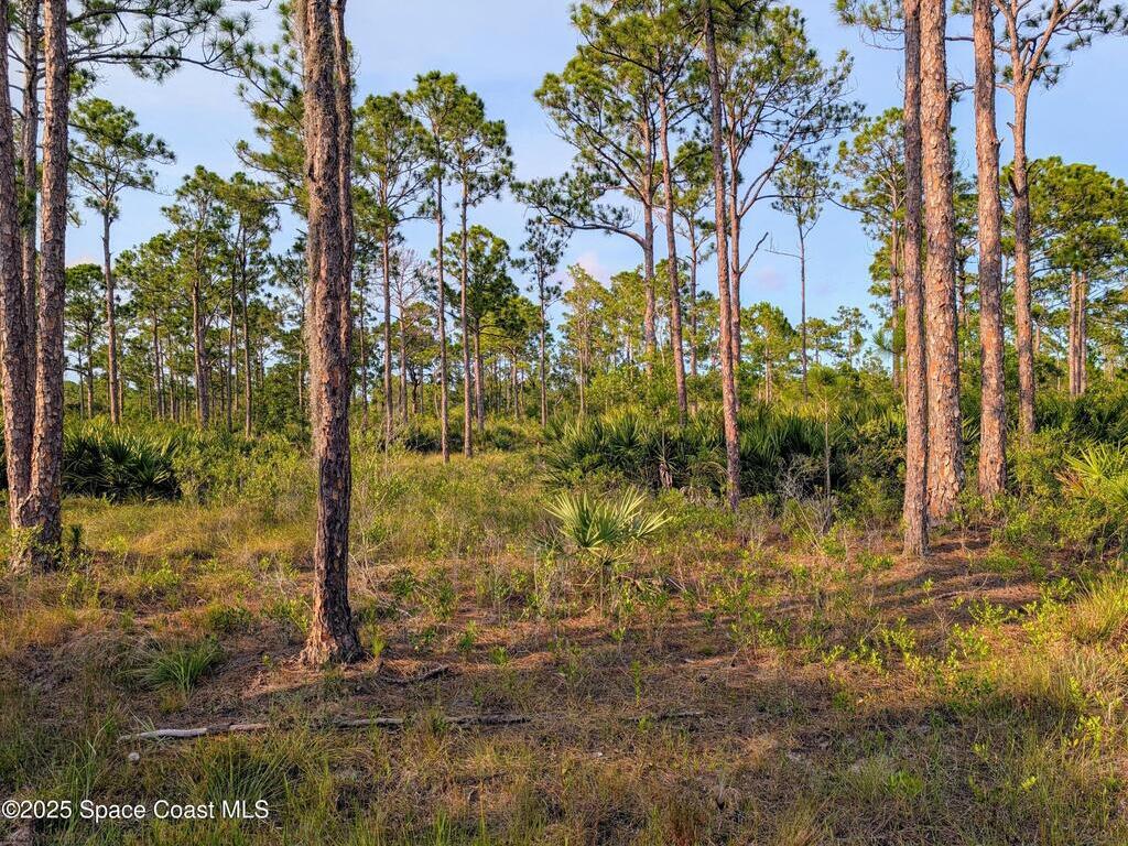00 Unknown, Grant, FL 32949