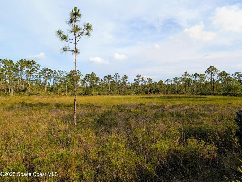00 Unknown, Grant, FL 32949