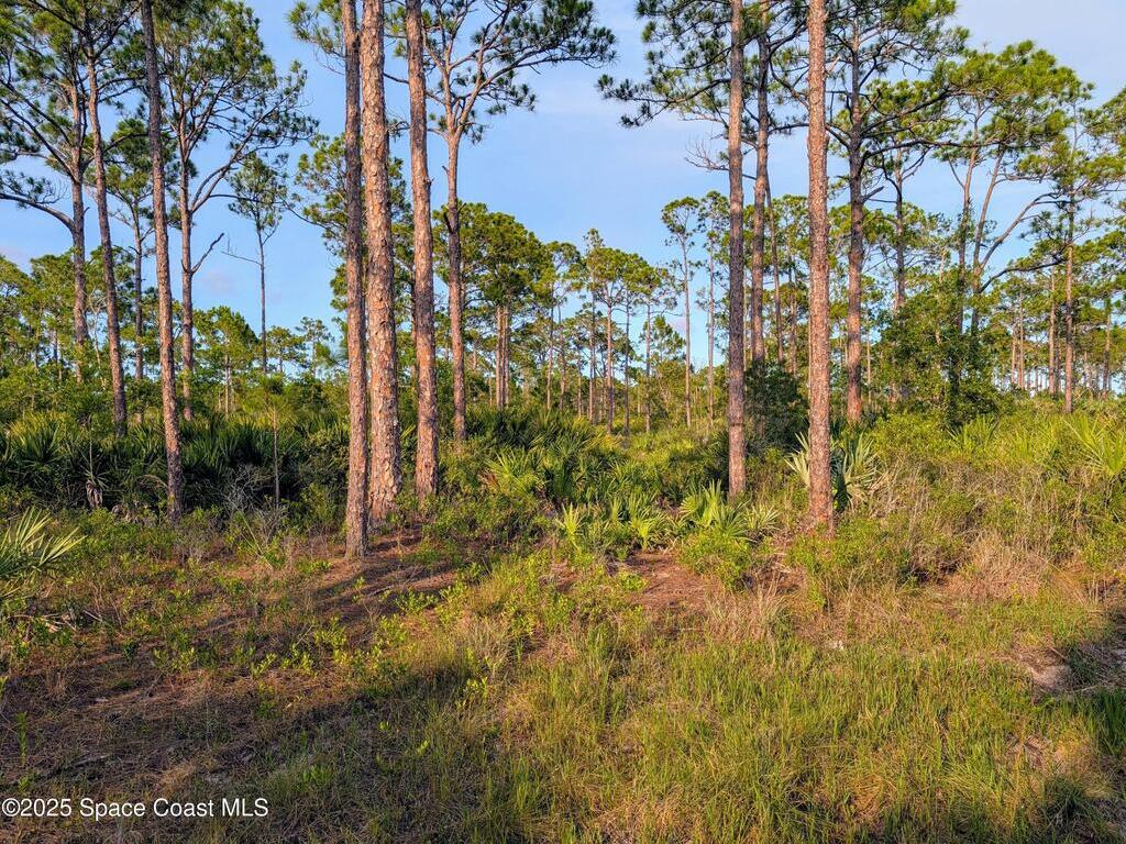 00 Unknown, Grant, FL 32949
