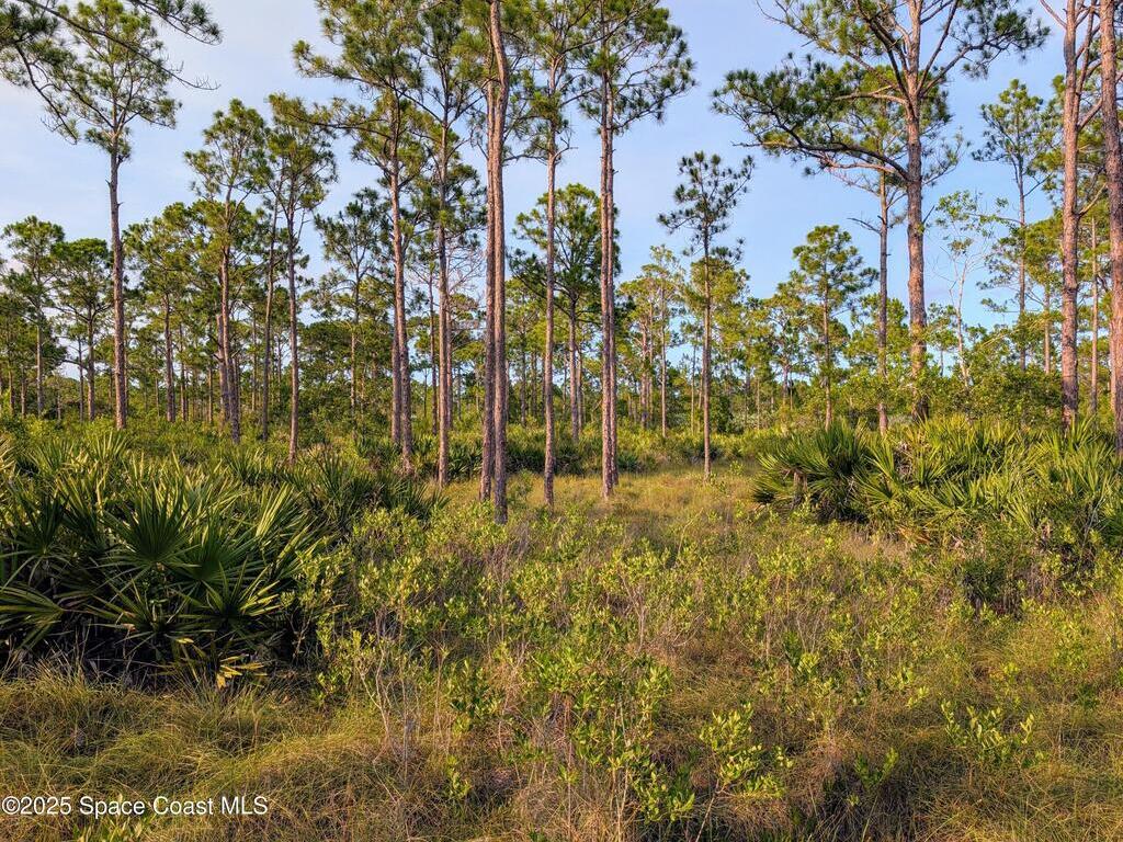 00 Unknown, Grant, FL 32949