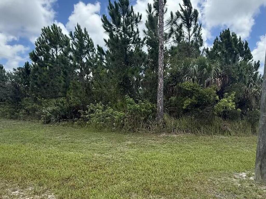 O Unknown  Towhlen And Cogan Dr Street, Palm Bay, FL 32909