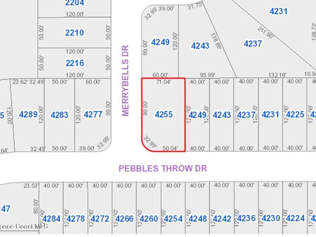 4255 Pebbles Throw Drive, Kissimmee, FL 34746
