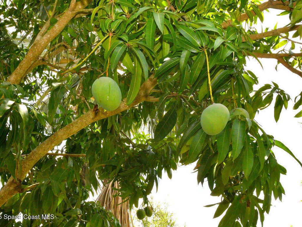 1388 Hill Avenue, Melbourne, FL 32940