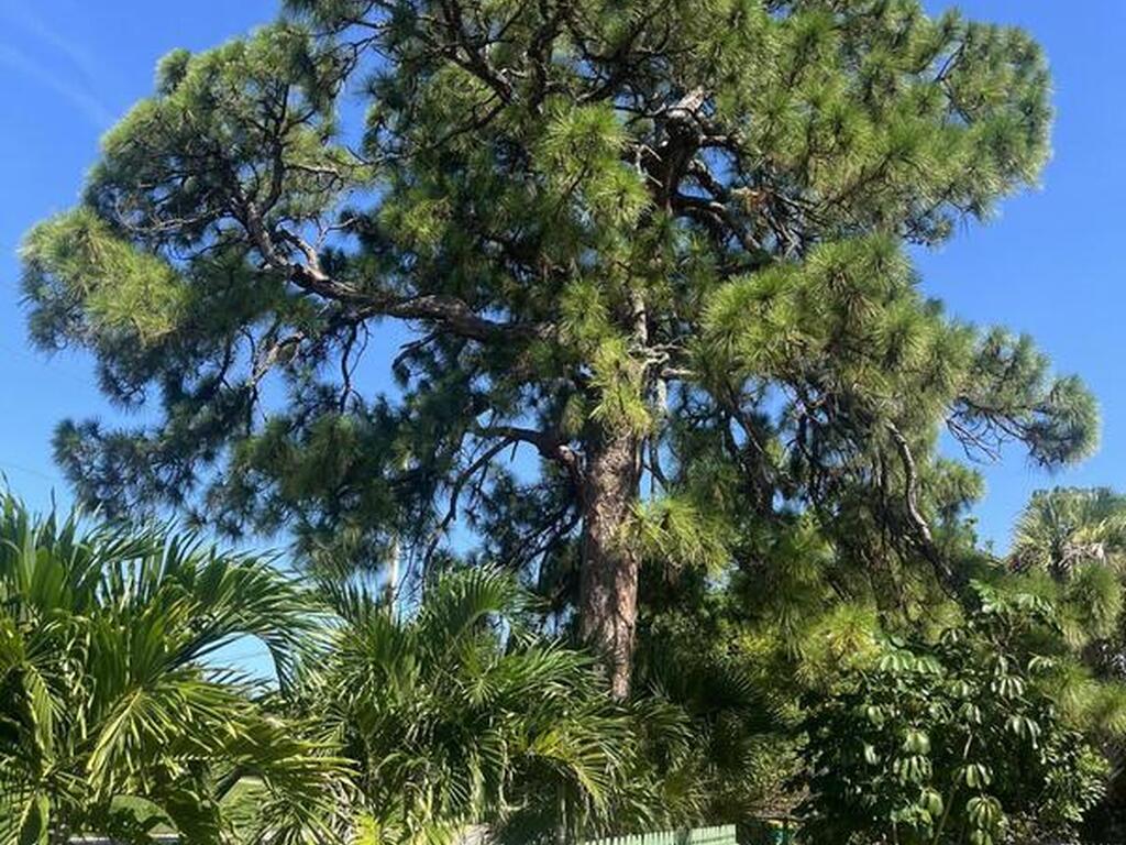 925 S Tropical Trail, Merritt Island, FL 32952