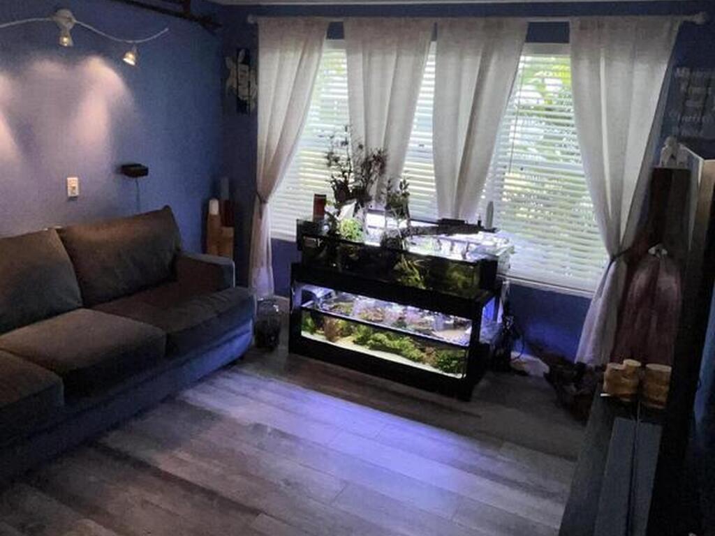 195 Treasure Street, Merritt Island, FL 32952