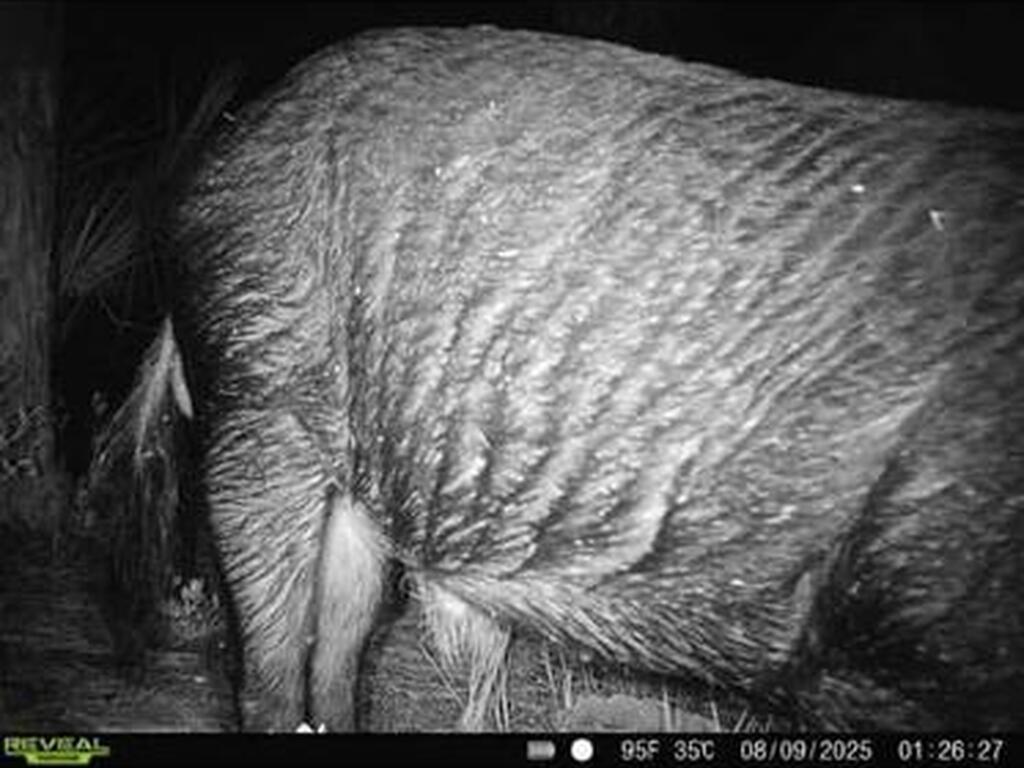 Unknown, Malabar, FL 32950