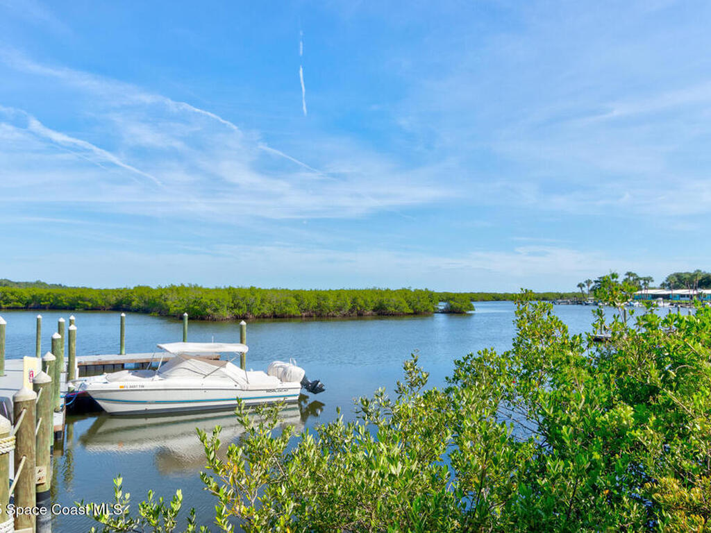 4 Riverwalk Drive, New Smyrna Beach, FL 32169