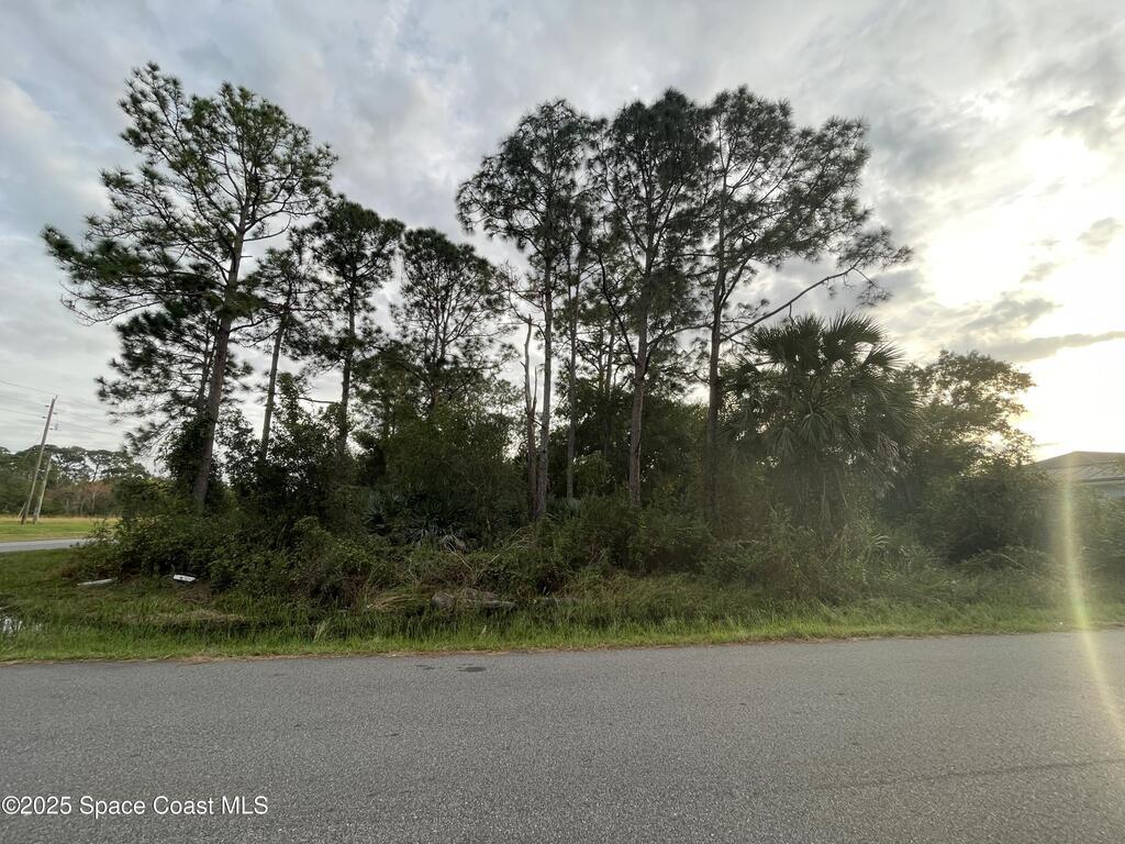 1694 Desco Street, Palm Bay, FL 32909