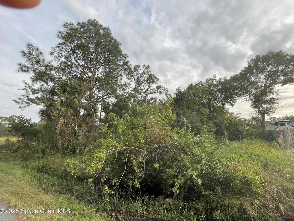 1694 Desco Street, Palm Bay, FL 32909