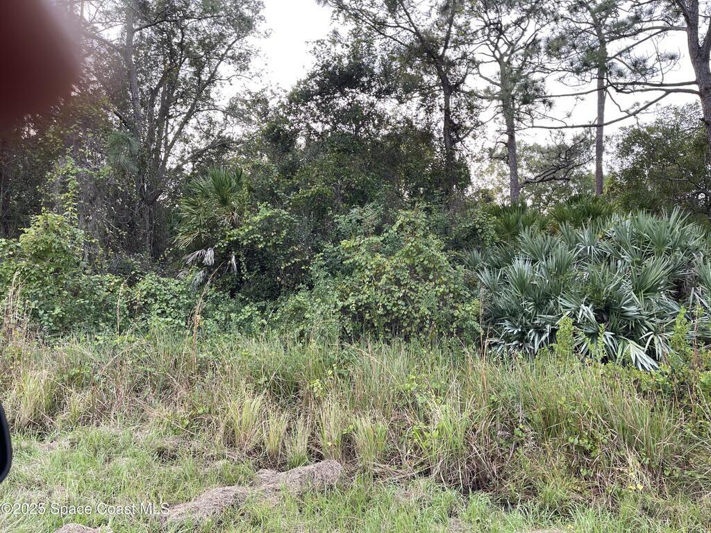 1694 Desco Street, Palm Bay, FL 32909