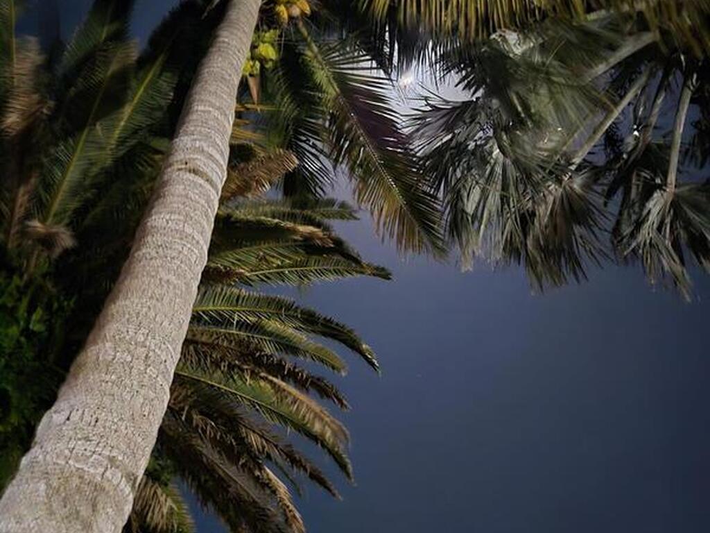 310 Glenwood Avenue, Satellite Beach, FL 32937