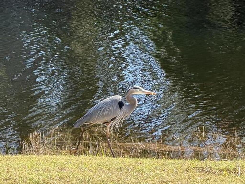 466 Carmel Drive, Melbourne, FL 32940