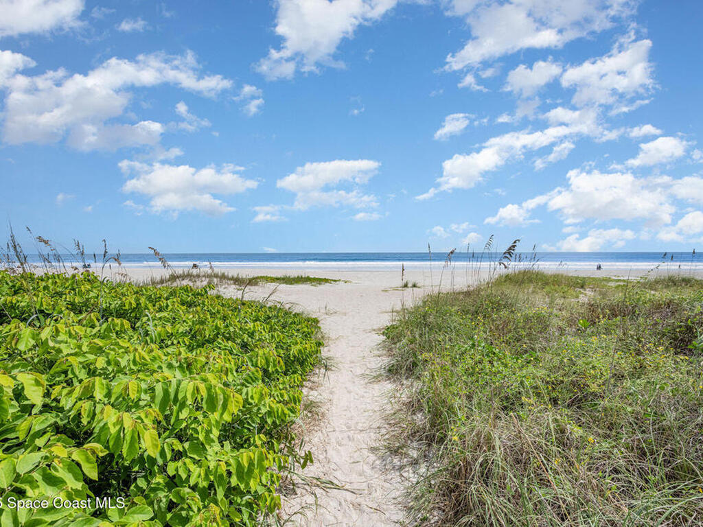 8743 Seagrape Court, Cape Canaveral, FL 32920