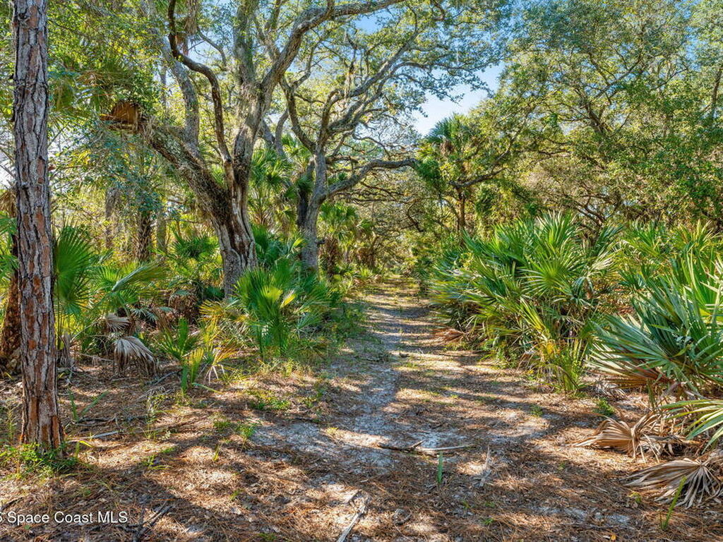 5585 Willoughby Drive, Melbourne, FL 32934